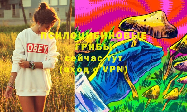 дурь Верея