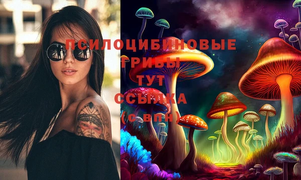 Альфа ПВП Верхнеуральск