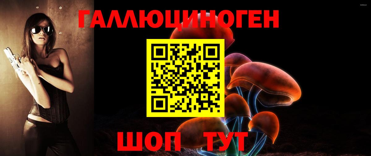 Псилоцибиновые грибы Psilocybine cubensis Мончегорск